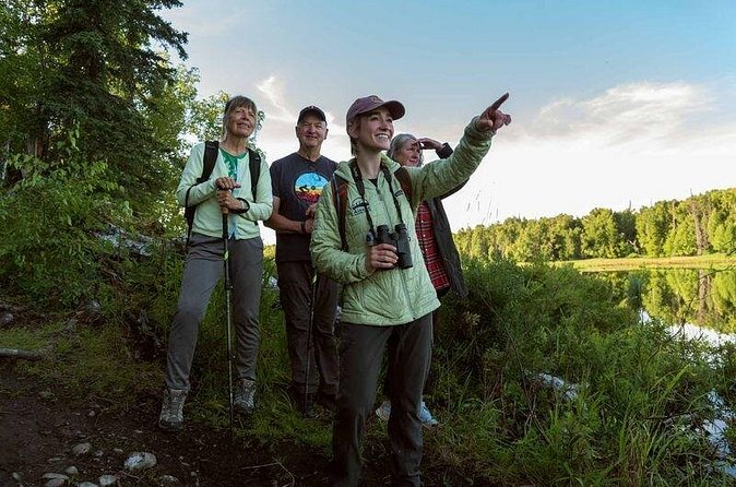 Talkeetna Lakes Hike Guided by a Naturalist - Why This Tour Excels for Nature Lovers and Curious Travelers