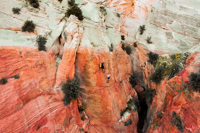 "Tallest in Utah" Via Ferrata & Rappelling (4 hr) - Discover the Tallest in Utah: Via Ferrata & Rappelling Adventure in Zion