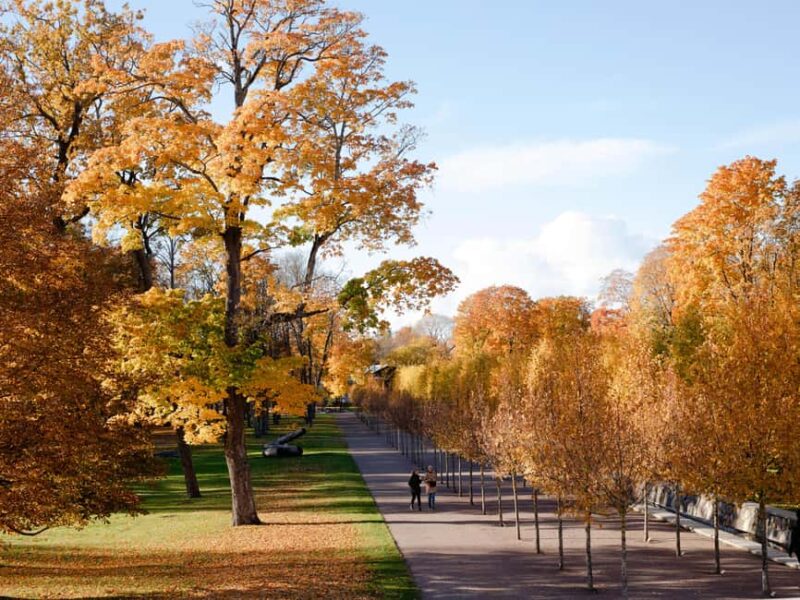 Tallinn: 3-hour tram and walking combo tour - The Tram Ride: Your First Glimpse of Tallinn