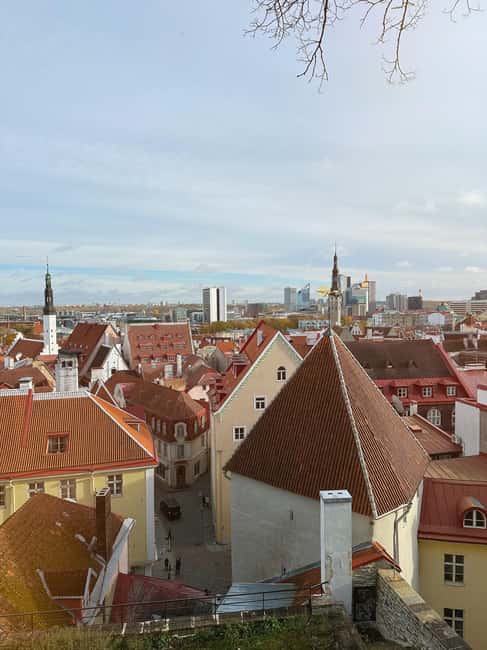 Tallinn: 3-hour tram and walking combo tour - Practical Details and Accessibility