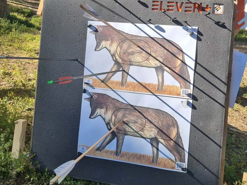 Tallinn: Beginner Archery Class with Transfer - Key Points