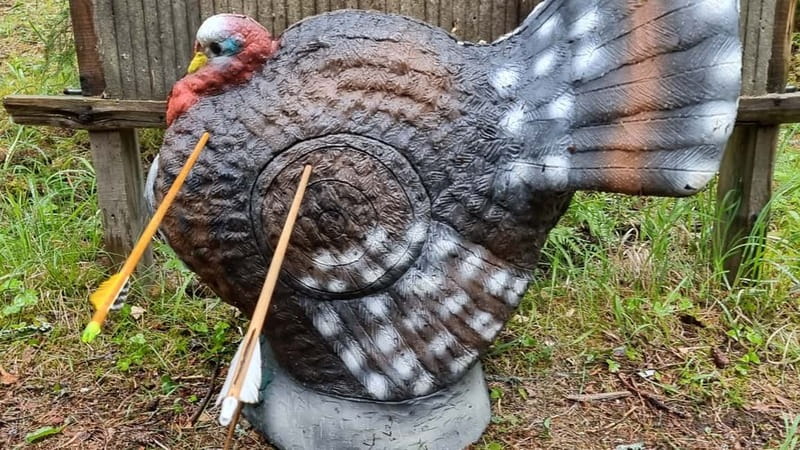 Tallinn: Beginner Archery Class with Transfer - The Indoor Archery Class in Tallinn: A Safe and Practical Introduction