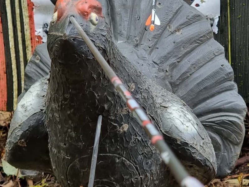 Tallinn: Beginner Archery Class with Transfer - Logistics: Easy Pickup and Drop-Off from Your Accommodation