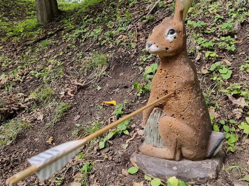 Tallinn: Beginner Archery Class with Transfer - Final Thoughts on Tallinn’s Beginner Archery Class with Transfer