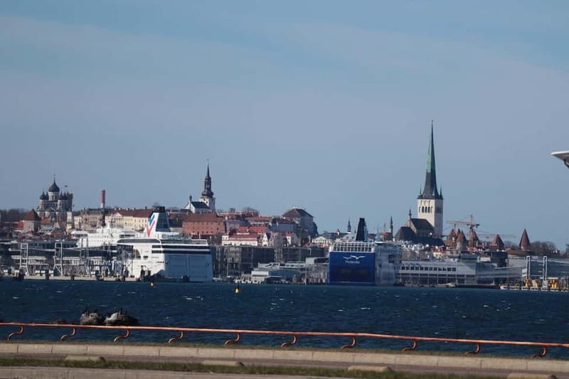 Tallinn: Behind the Iron Curtain Soviet Secrets Guided Tour - Visiting Maarjamäe Palace and Its Soviet Monuments