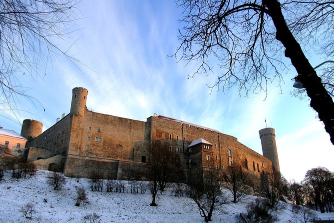 Tallinn City Private Tour - Logistics, Pacing, and Accessibility
