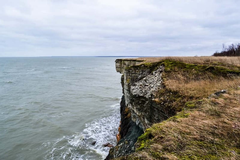 Tallinn: Coastal Cliffs and Rummu Submerged Quarry Day Tour - Practical Details: Transport, Guides, and Group Experience