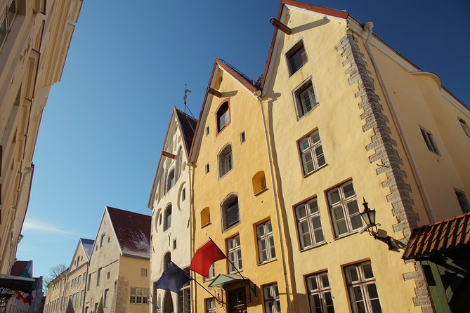 Tallinn Highlights and Marzipan Painting Masterclass - Key Points