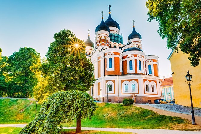 Tallinn Highlights and Marzipan Painting Masterclass - Artistic Fun at the Kalev Marzipan Museum