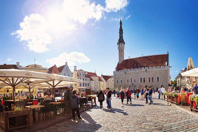 Tallinn Highlights and Marzipan Painting Masterclass - Convenient Logistics with Transportation and Breaks Included