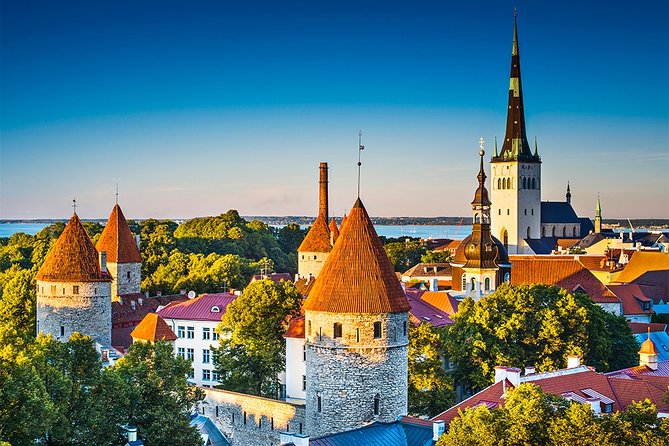 Tallinn Highlights and Marzipan Painting Masterclass - Practical Details and Booking Information