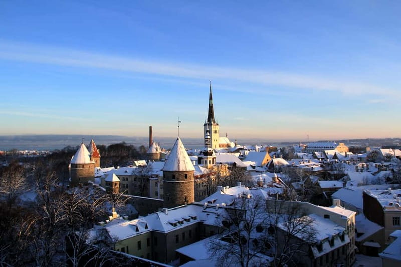 Tallinn: Highlights Shore Excursion with Return Transfer - Logistics and Accessibility