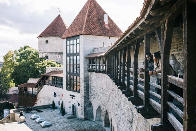 Tallinn: Museums, Public Transport, and More City Card - Limitations and Considerations for the Tour