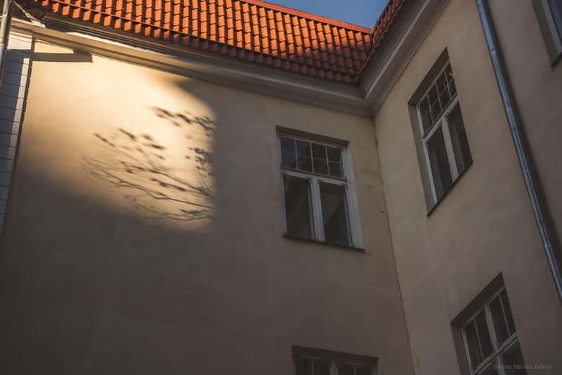 Tallinn: Old Town Ghost Tour - Discover Tallinn’s Haunted Old Town in 1.5 Hours
