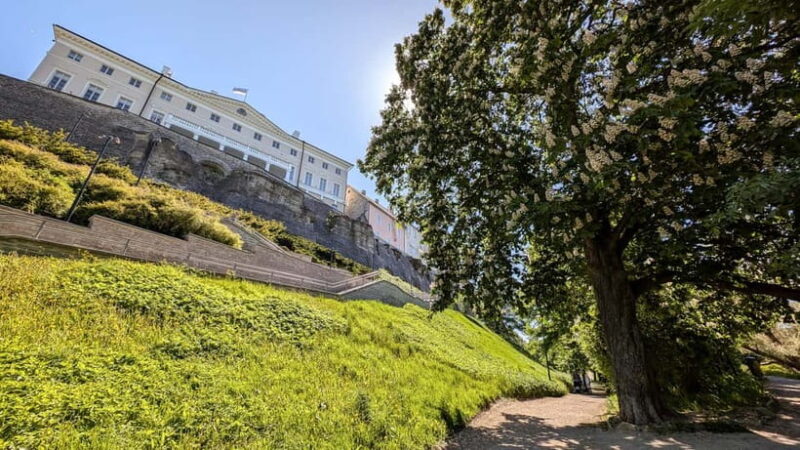 Tallinn: Old Town Private & Personalized Walking Tour - Practical Details and Accessibility