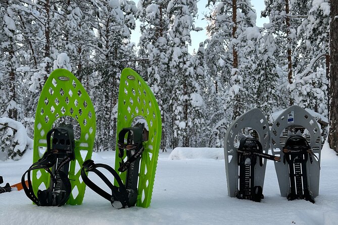 Tallinn Old Town Tour combined with Bog Walk - Flexibility and Cancellation Policy