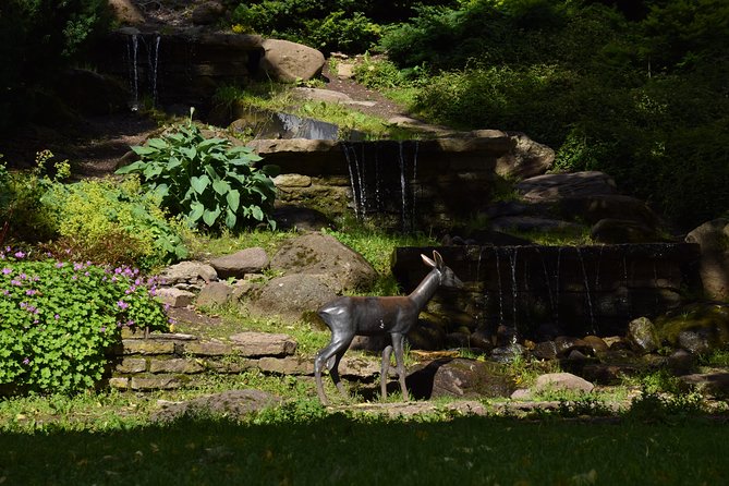 Tallinn Old Town Tour - Visiting Tallinn Town Hall Pharmacy, Europe’s Oldest Continuously Operating Pharmacy