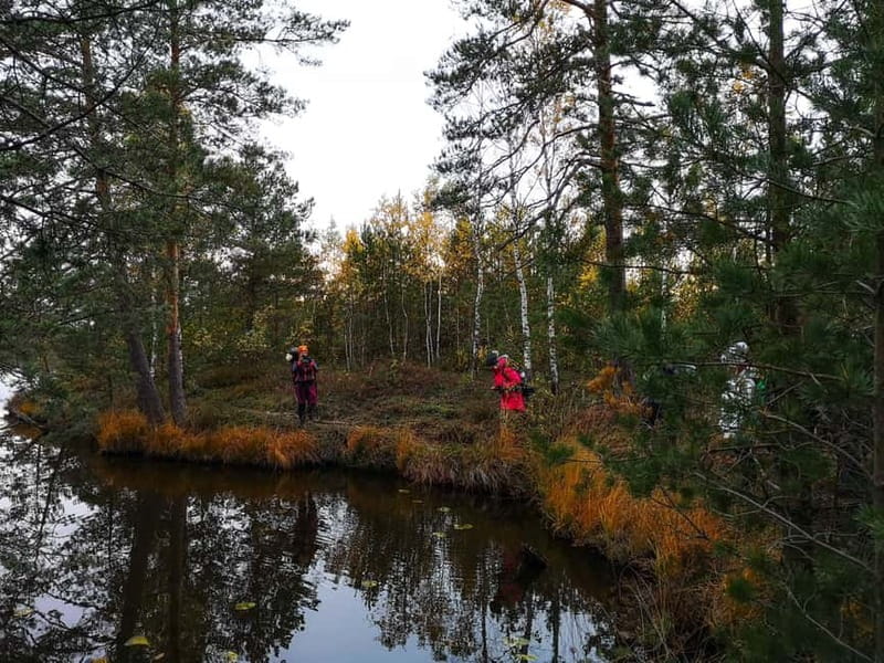 Tallinn: Old Town Tour with Bog Walk - Why This Tour Stands Out