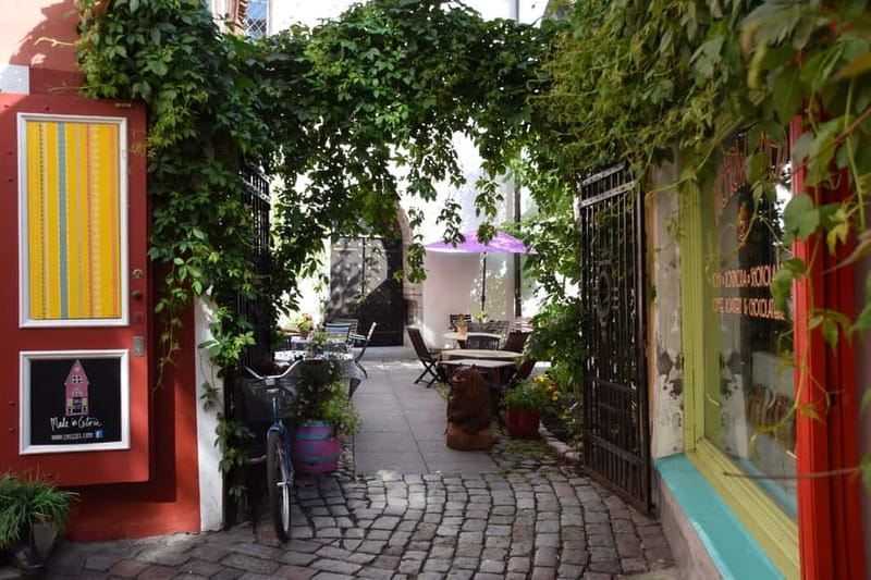 Tallinn: Private City Highlights Walking Tour - Explore Tallinn’s Medieval Old Town with a Private Guide