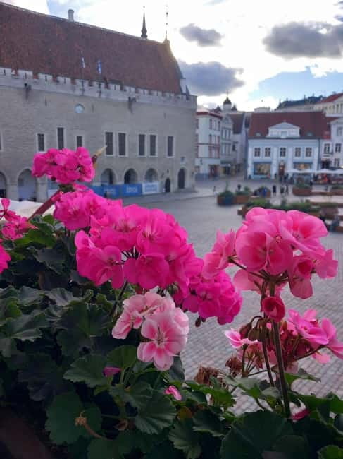 Tallinn Town Hall with a guide - Learning About Medieval Christmas and New Year Celebrations