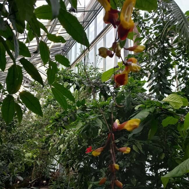 Tallinn TV tower and Botanic garden (a tour with a guide) - Practical Details: Booking, Cancellation, and Accessibility