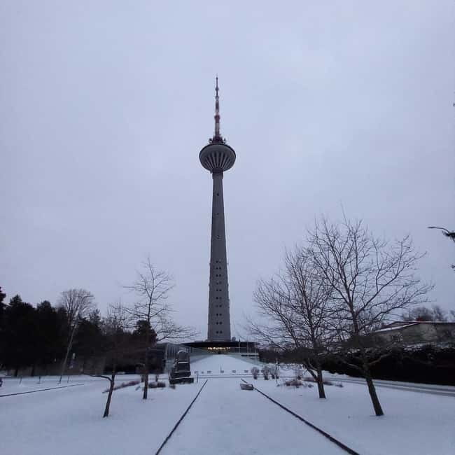 Tallinn TV tower and Botanic garden (a tour with a guide) - In Summary: A Well-Rounded Way to See Tallinn’s Landmarks