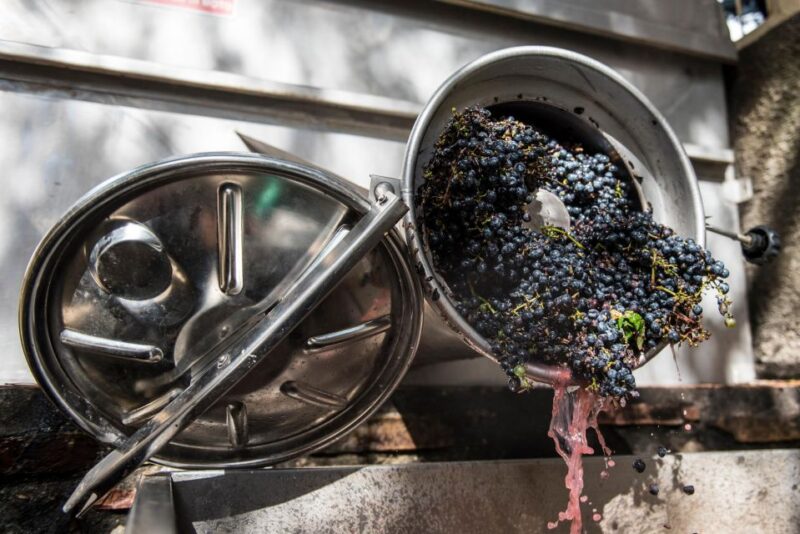 Tamburini Wine Tour and Tasting - Logistics and Booking