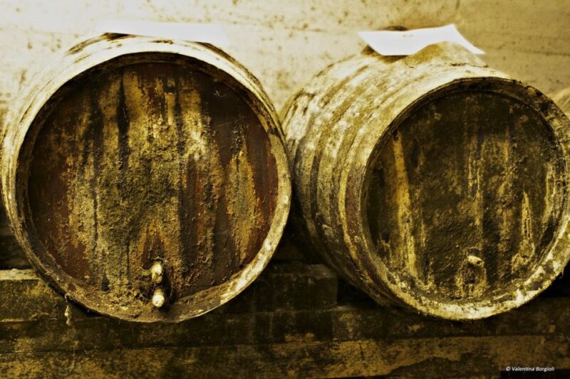 Tamburini Wine Tour and Tasting - Who Will Love This Experience