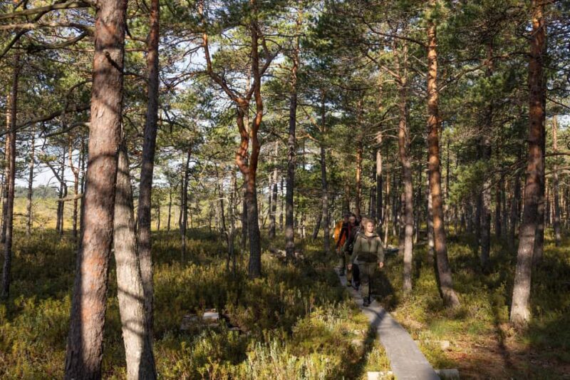 Tammela : National Park Hike with Campfire Meal - Exploring Torronsuo and Liesjärvi National Parks