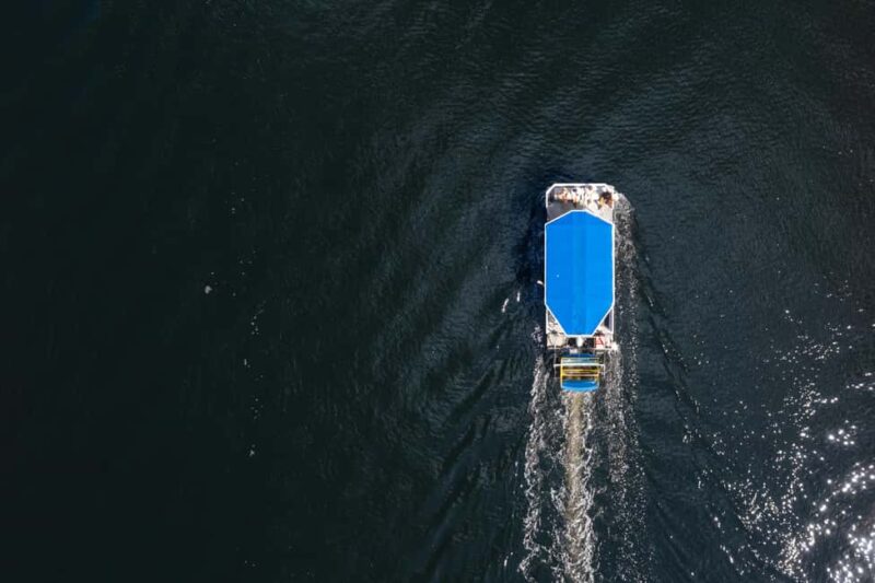 Tampa: 2 hour Paddle Pub River Cruise - Bring Your Own Drinks for a Personal Touch