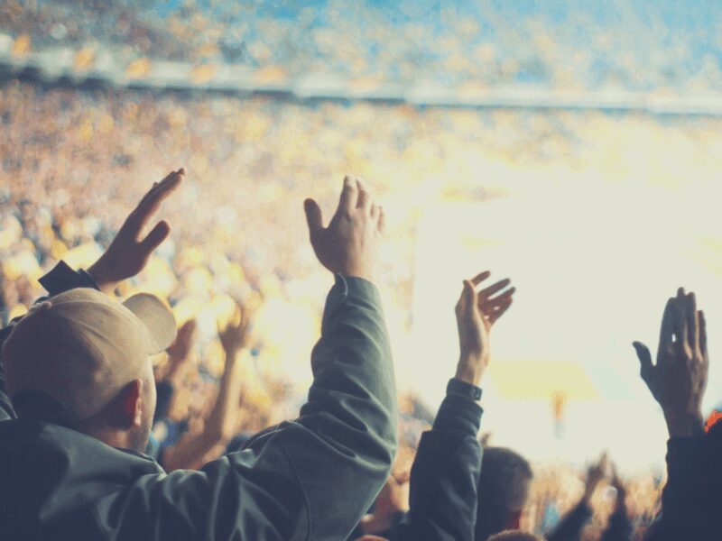 Tampa Bay Buccaneers Football Game at Raymond James Stadium - Tampa Bay Buccaneers Game at Raymond James Stadium: The Core Experience