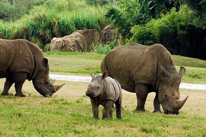 Tampa Bay CityPASS® - Key Points