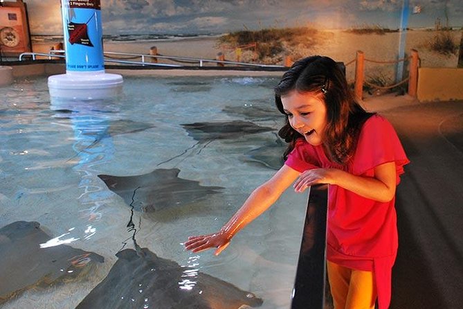 Tampa Bay CityPASS® - Clearwater Marine Aquarium: Marine Life Encounters