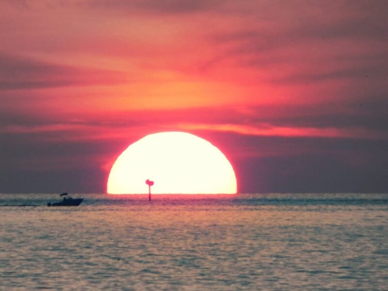 Tampa Bay: Private Sunset Cruise with Champaign or Wine - Key Points