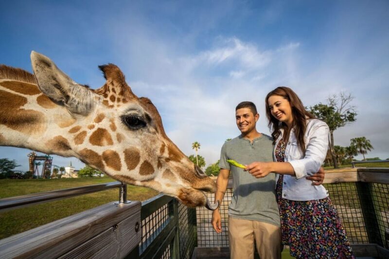 Tampa Bay: Serengeti Safari Tour - What You Can Expect During the 30-Minute Safari