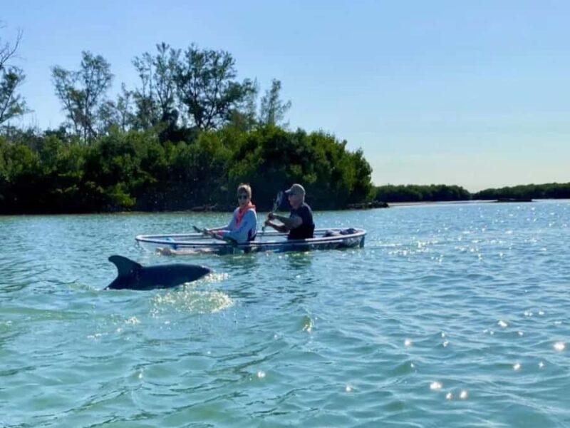 Tampa Bay: Shell Key Preserve Clear Kayak Tour - Explore Shell Key Preserve on a Guided Clear Kayak Tour from St. Pete Beach