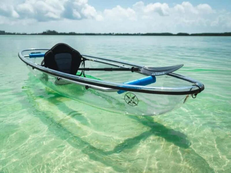 Tampa Bay: Shell Key Preserve Clear Kayak Tour - Key Points