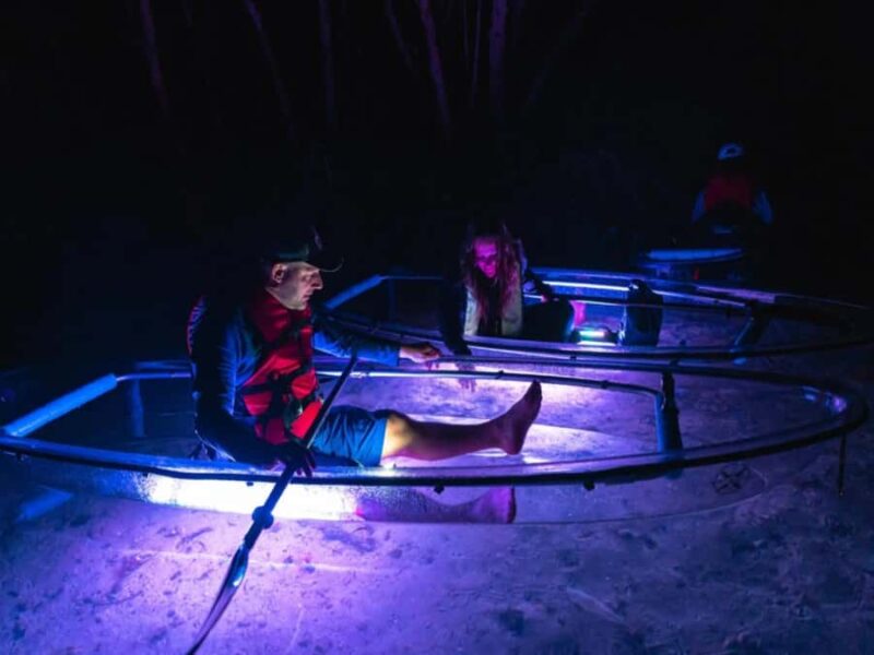 Tampa Bay: Shell Key Preserve Clear Kayak Tour - What Makes the Clear Kayaks Unique at Shell Key Preserve