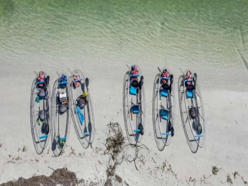Tampa Bay: Shell Key Preserve Clear Kayak Tour - Discovering Shell Keys Sandbars and Beaches