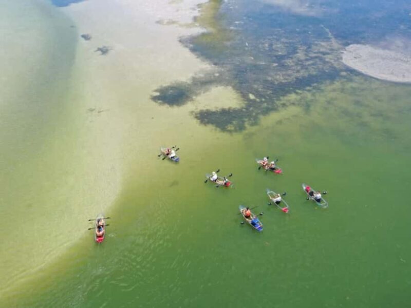 Tampa Bay: Shell Key Preserve Clear Kayak Tour - Accessibility and Physical Requirements