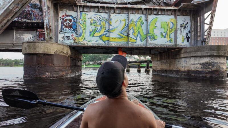 Tampa: Clear Glowing Kayak Nighttime Tour - Wildlife Encounters: Dolphins and Manatees