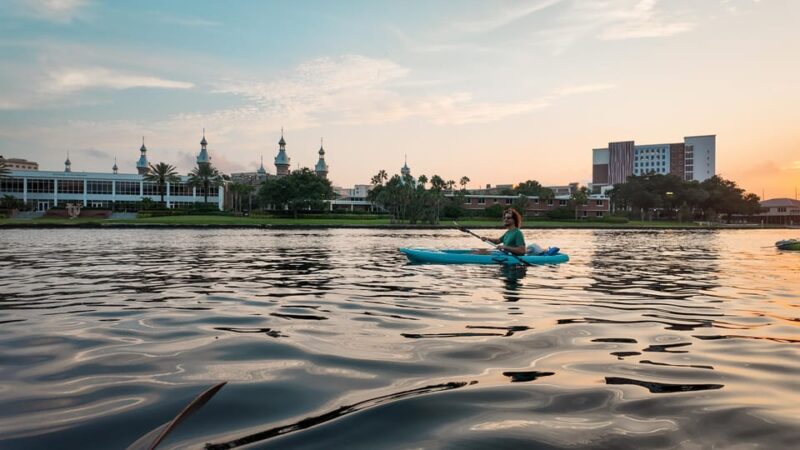 Tampa: Clear Glowing Kayak Nighttime Tour - Why This Tour Stands Out
