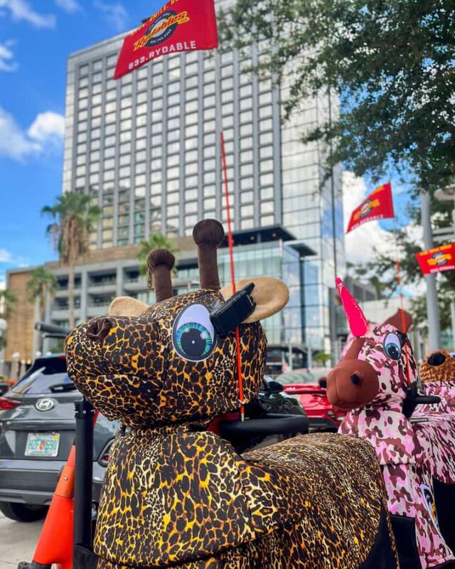 Tampa: Riverwalk and Downtown Tour on a Rydable - Key Points