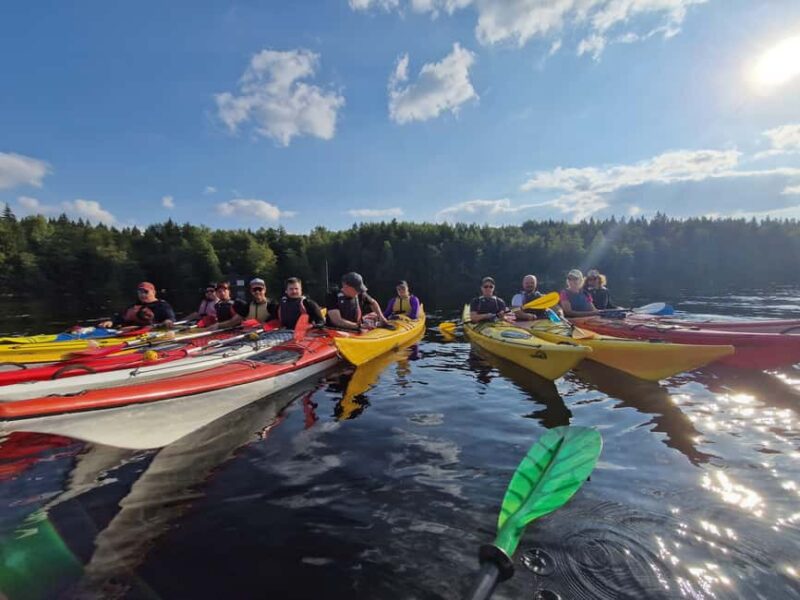 Tampere: Näsijärvi Lake Guided Kayak Tour - How the Route and Skill Levels Are Managed