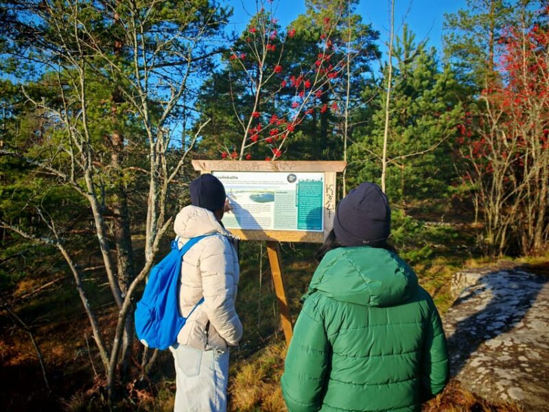 Tampere Panoramic Tour - Navigating the Stops: From the Esker to the City Skyline