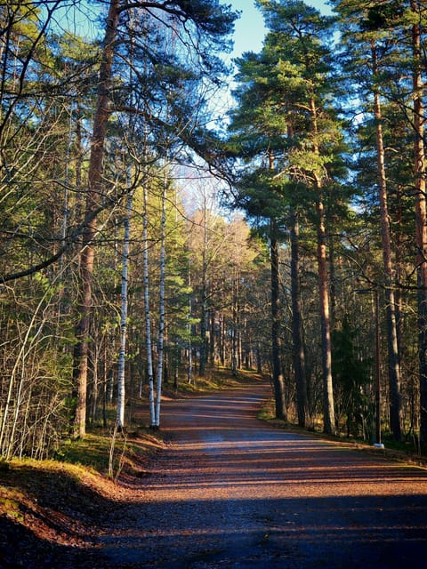 Tampere Panoramic Tour - Accessibility and Practical Considerations