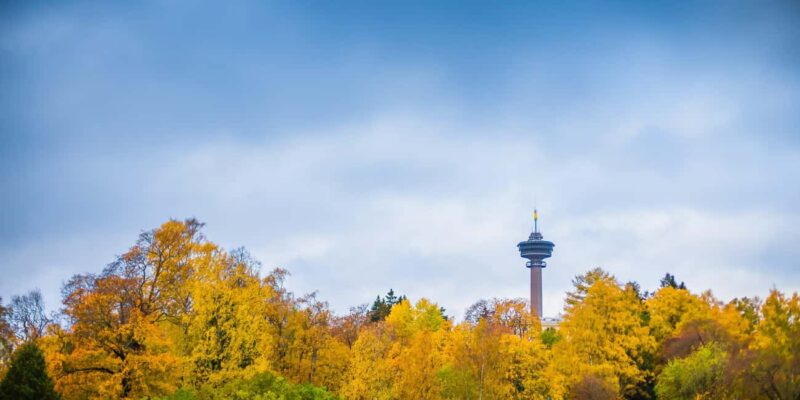 Tampere: Towers of Tampere Guided Tour - Food and Drink Highlights During the Tour