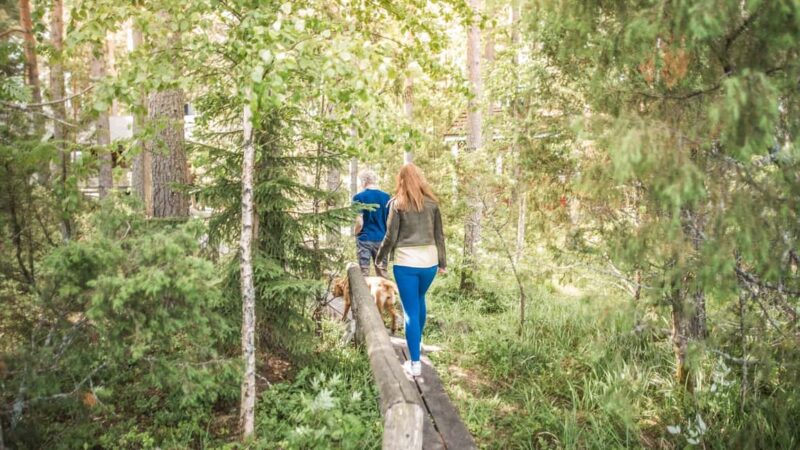Tampere: Traditional Smoke Sauna & Lake Swim in Niemi-Kapee - The Unique Atmosphere of the Niemi-Kapee Smoke Sauna