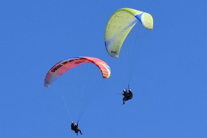 Tandem Paragliding Flights from Vik - Flexible Scheduling and Rescheduling Options