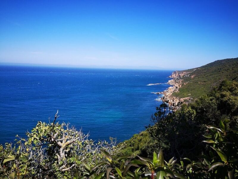 Tangier: 2-Day Trip From Tarifa - The Second Day: Free Time and Early Return